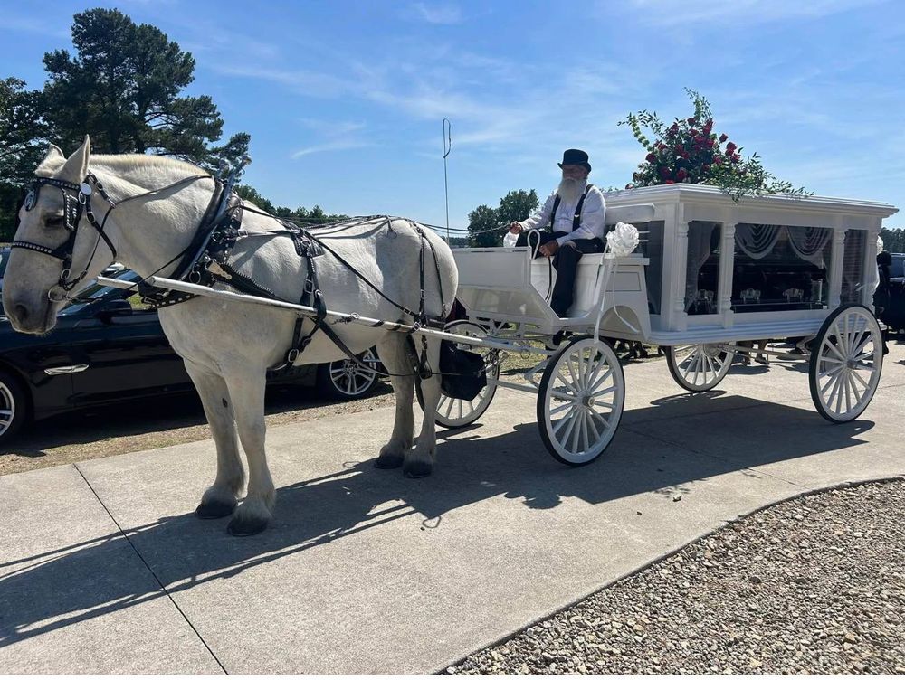 A white horse drawing a glass-sided hearse carriage